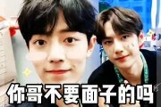娱乐吃瓜酱哥哥和弟弟在线观看,哥哥弟弟在线观看，欢乐时光共享