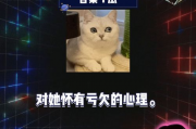 吃瓜娱乐娱乐,揭秘明星幕后故事
