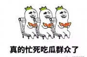 网络用语吃瓜怎么说,网络热词“吃瓜”背后的趣味解读